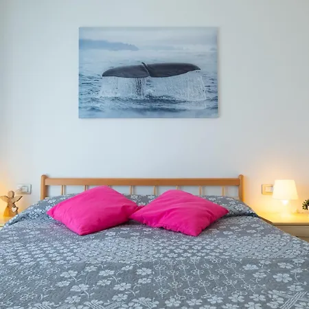 Appartement Bay C12 - *